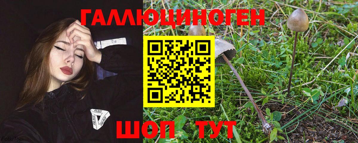 Псилоцибиновые грибы GOLDEN TEACHER Кемерово