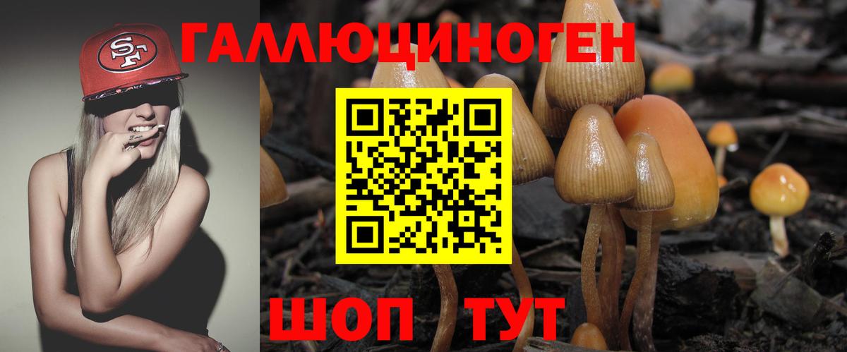 Галлюциногенные грибы Magic Shrooms  продажа наркотиков  Кемерово  Галлюциногенные грибы MAGIC MUSHROOMS  Вход с VPN 